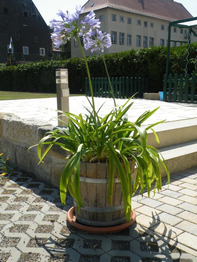 Kaitzbach-Idylle Apartment Dresda Exterior foto